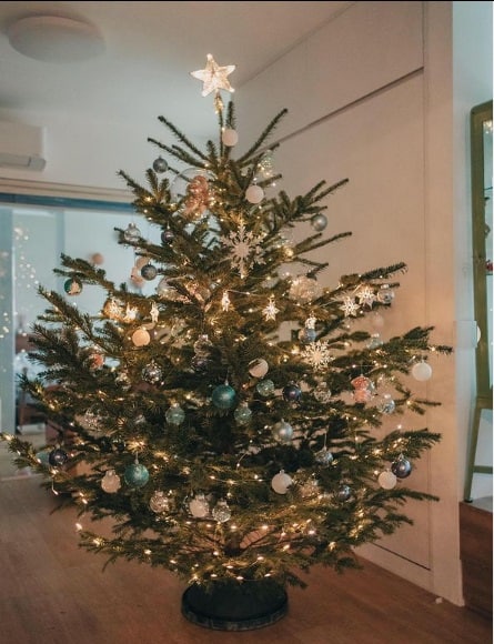 دکور و تزیین درخت کریسمس