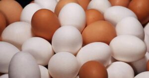 آیا باید تخم مرغ گرانتر بخرید؟