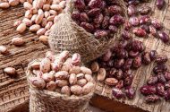 تحلیل فنی و اقتصادی لوبیا چیتی ازبکستان