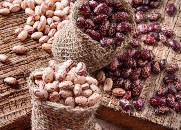 تحلیل فنی و اقتصادی لوبیا چیتی ازبکستان
